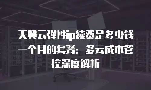天翼云弹性ip续费是多少钱一个月的套餐：多云成本管控深度解析