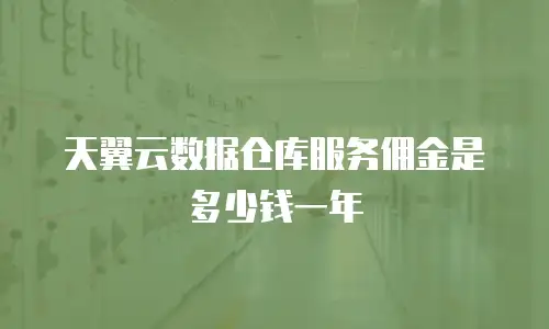 天翼云数据仓库服务佣金是多少钱一年