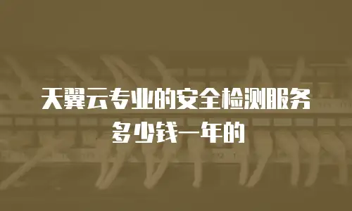 天翼云专业的安全检测服务多少钱一年的