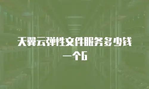 天翼云弹性文件服务多少钱一个G