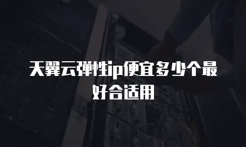 天翼云弹性ip便宜多少个最好合适用