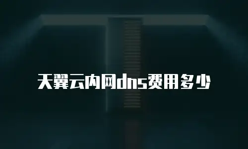 天翼云内网dns费用多少