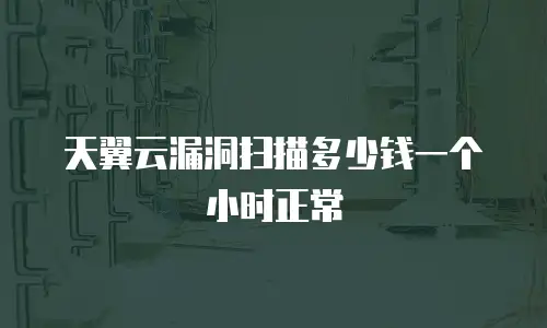 天翼云漏洞扫描多少钱一个小时正常