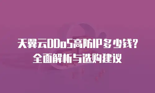 天翼云DDoS高防IP多少钱？全面解析与选购建议