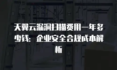 天翼云漏洞扫描费用一年多少钱：企业安全合规成本解析