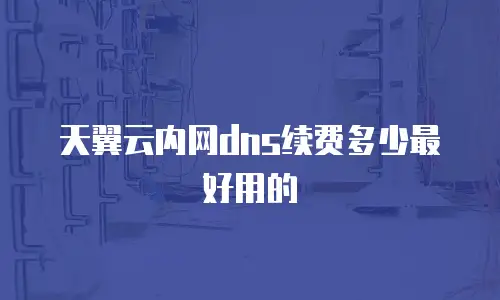 天翼云内网dns续费多少最好用的