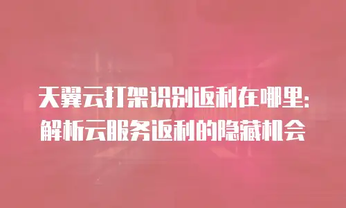 天翼云打架识别返利在哪里：解析云服务返利的隐藏机会