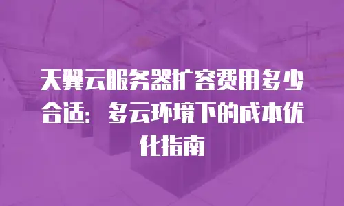 天翼云服务器扩容费用多少合适：多云环境下的成本优化指南