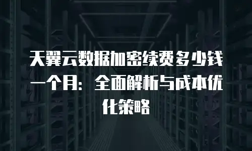 天翼云数据加密续费多少钱一个月：全面解析与成本优化策略