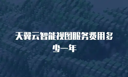 天翼云智能视图服务费用多少一年