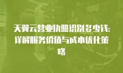 天翼云营业执照识别多少钱：详解服务价值与成本优化策略