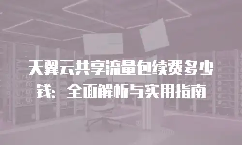 天翼云共享流量包续费多少钱：全面解析与实用指南