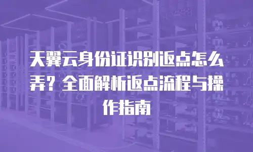 天翼云身份证识别返点怎么弄？全面解析返点流程与操作指南