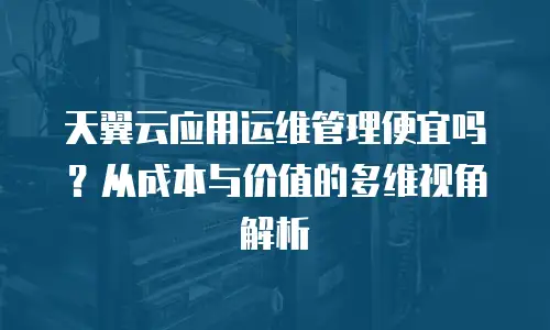 天翼云应用运维管理便宜吗？从成本与价值的多维视角解析