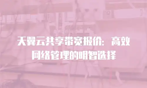 天翼云共享带宽报价：高效网络管理的明智选择