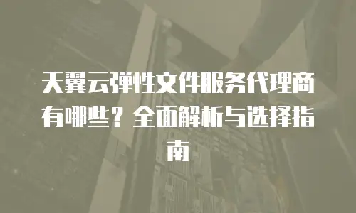 天翼云弹性文件服务代理商有哪些？全面解析与选择指南