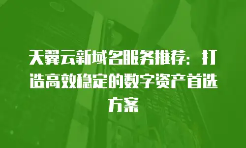 天翼云新域名服务推荐：打造高效稳定的数字资产首选方案