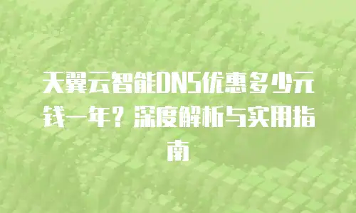 天翼云智能DNS优惠多少元钱一年？深度解析与实用指南