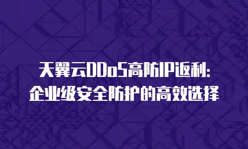 天翼云DDoS高防IP返利：企业级安全防护的高效选择