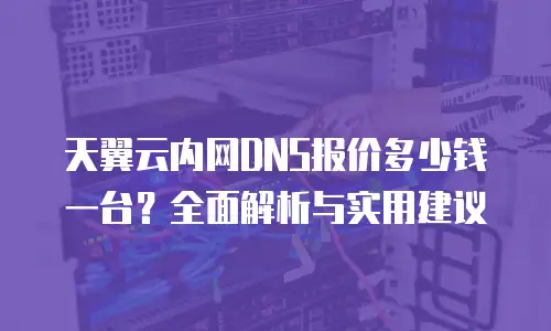 天翼云内网DNS报价多少钱一台？全面解析与实用建议