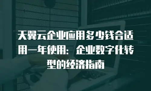 天翼云企业应用多少钱合适用一年使用：企业数字化转型的经济指南