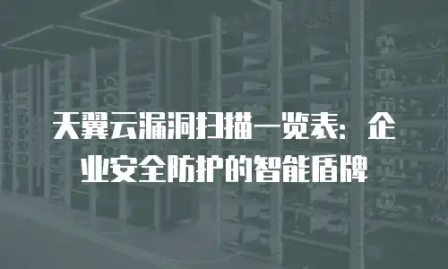 天翼云漏洞扫描一览表：企业安全防护的智能盾牌