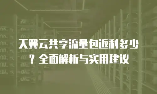 天翼云共享流量包返利多少？全面解析与实用建议