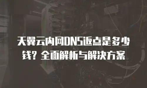 天翼云内网DNS返点是多少钱？全面解析与解决方案