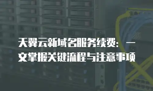 天翼云新域名服务续费：一文掌握关键流程与注意事项