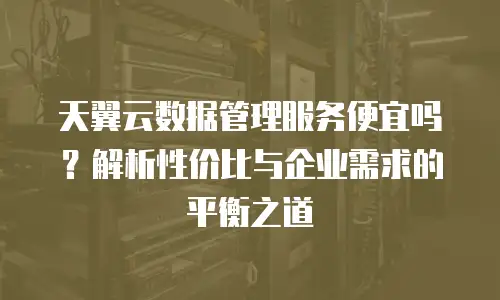 天翼云数据管理服务便宜吗？解析性价比与企业需求的平衡之道