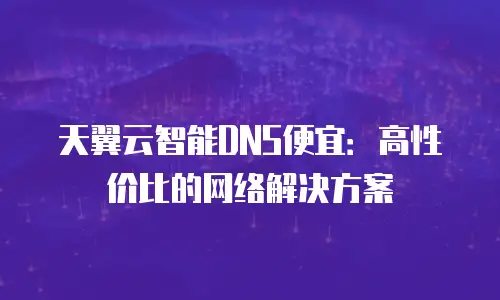 天翼云智能DNS便宜：高性价比的网络解决方案
