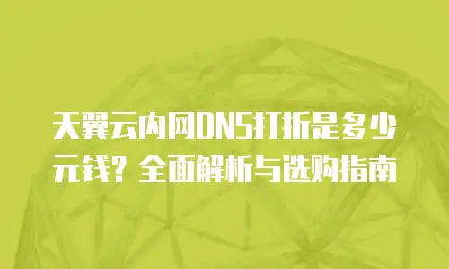 天翼云内网DNS打折是多少元钱？全面解析与选购指南