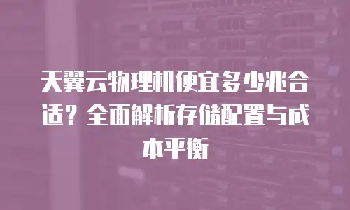 天翼云物理机便宜多少兆合适？全面解析存储配置与成本平衡