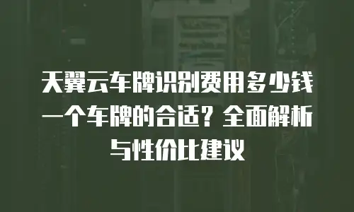 天翼云车牌识别费用多少钱一个车牌的合适？全面解析与性价比建议