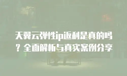 天翼云弹性ip返利是真的吗？全面解析与真实案例分享