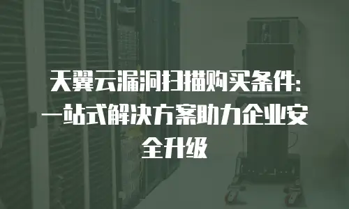 天翼云漏洞扫描购买条件：一站式解决方案助力企业安全升级