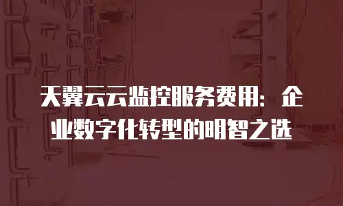 天翼云云监控服务费用：企业数字化转型的明智之选