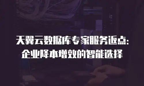 天翼云数据库专家服务返点：企业降本增效的智能选择