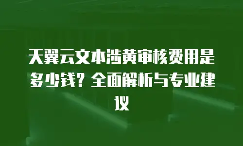 天翼云文本涉黄审核费用是多少钱？全面解析与专业建议