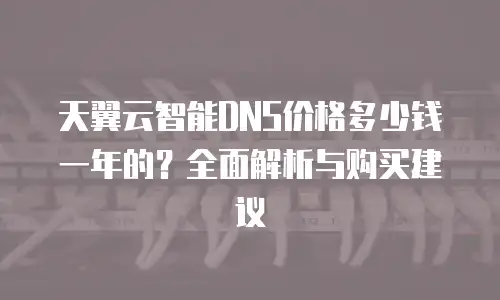 天翼云智能DNS价格多少钱一年的？全面解析与购买建议