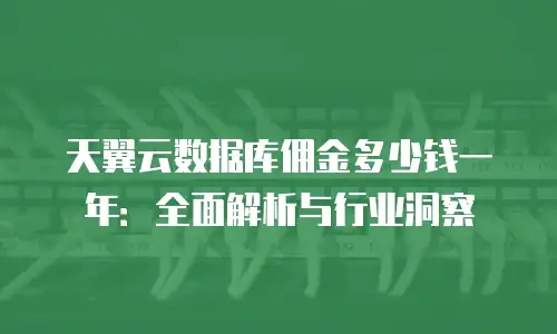 天翼云数据库佣金多少钱一年：全面解析与行业洞察