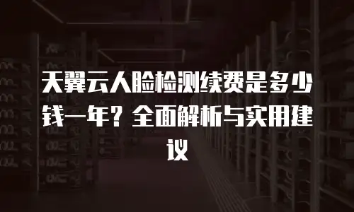 天翼云人脸检测续费是多少钱一年？全面解析与实用建议