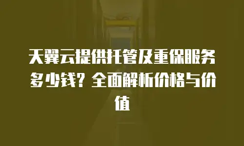 天翼云提供托管及重保服务多少钱？全面解析价格与价值