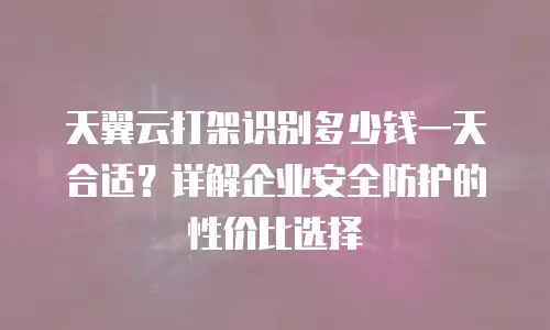 天翼云打架识别多少钱一天合适？详解企业安全防护的性价比选择