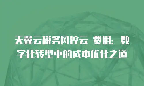 天翼云税务风控云 费用：数字化转型中的成本优化之道