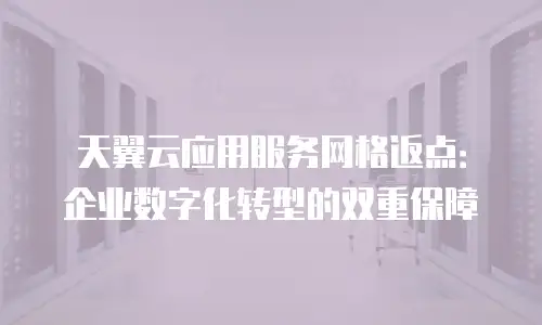天翼云应用服务网格返点：企业数字化转型的双重保障