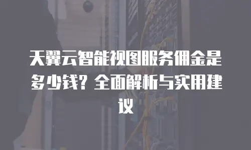天翼云智能视图服务佣金是多少钱？全面解析与实用建议