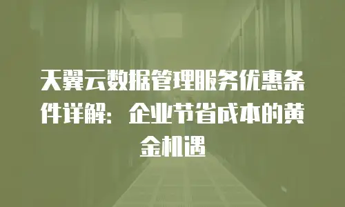 天翼云数据管理服务优惠条件详解：企业节省成本的黄金机遇