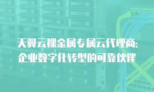 天翼云裸金属专属云代理商：企业数字化转型的可靠伙伴