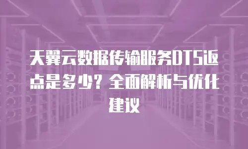 天翼云数据传输服务DTS返点是多少？全面解析与优化建议